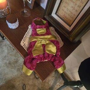 Chic Pink and Lime Green Dog Outfit